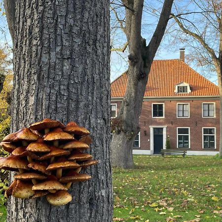 B&B Huize Placida Boxmeer Exteriör bild